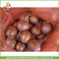 Exportar cebolla a granel cebollas redondas de China